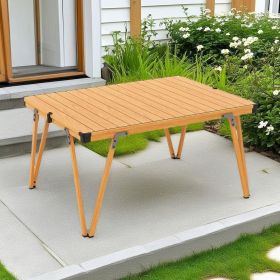 Folding Camping Table Picnic Table with Storage Bag (Color: brown)